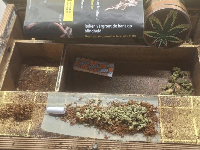 Rise and shine. Week 10 - ik kont nie laten
