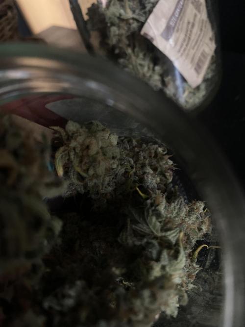 Speedy Chile (RQS). Week 11
