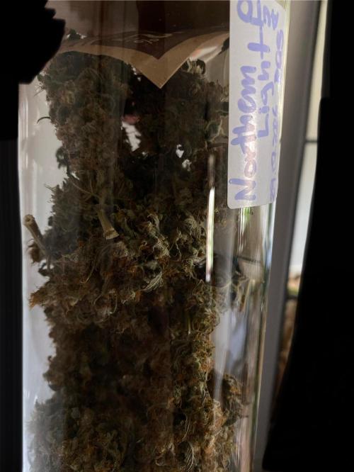 NorthernLightAuto. Week 11