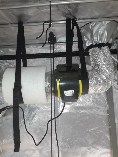 First Indoor Grow. Week 2 - Filtr 
Prima Klima Eco
160-240m3/h, 125mm
+ 
Garden HighPro - PROFAN TT
Extracto