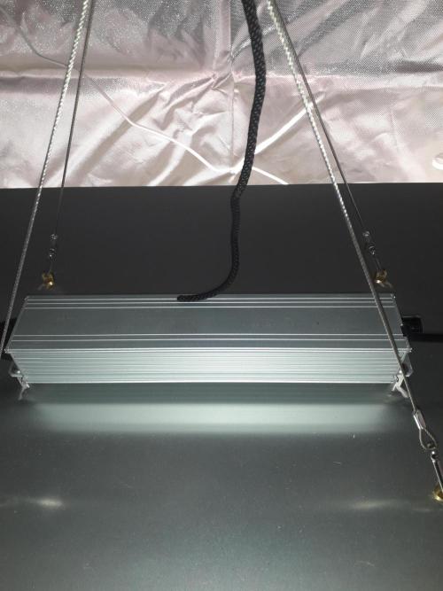First Indoor Grow. Week 2 - Ralight - LED 240W Quantum Board - 2.7qmol/J