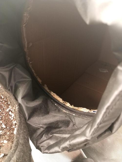 First Indoor Grow. Week 13 - Hanging and drying inside the big box with an active exhaust system connected to