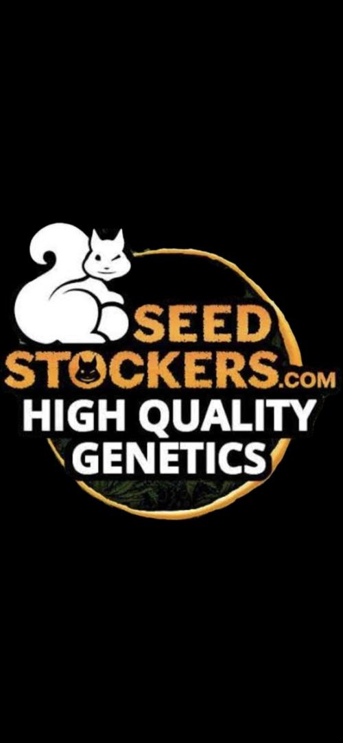 Tropical Zmoothie Auto Seedstockers. Week 2