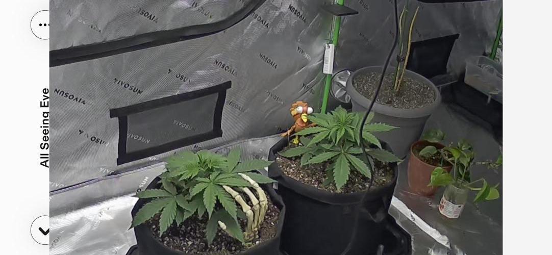 Locking in my setup …. Week 3