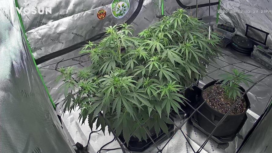 Locking in my setup …. Week 5