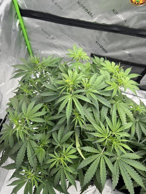 Locking in my setup …. Week 5