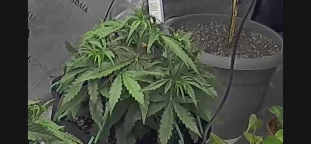 Locking in my setup …. Week 3