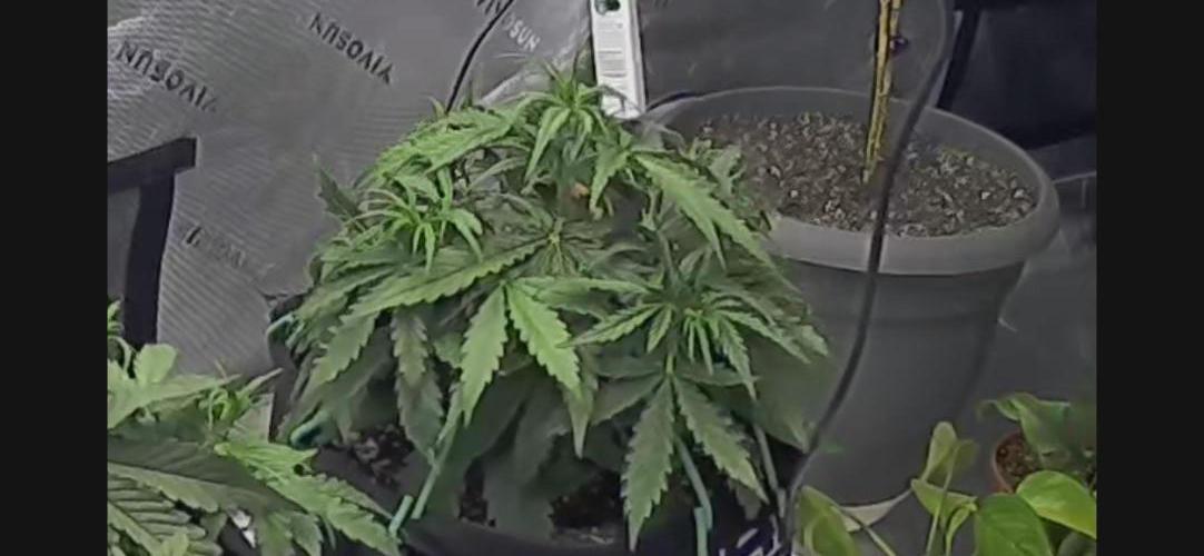 Locking in my setup …. Week 3