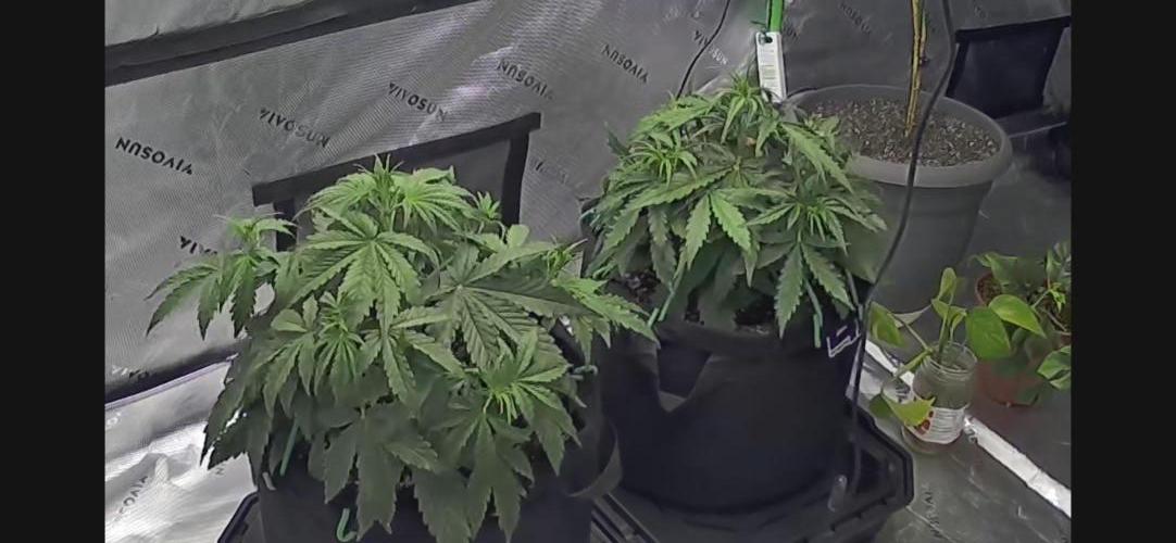Locking in my setup …. Week 3