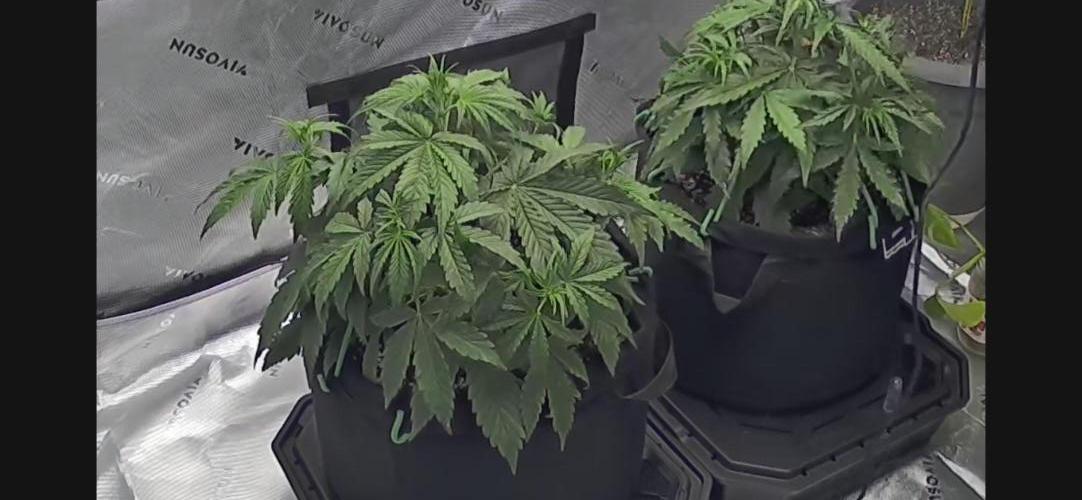 Locking in my setup …. Week 3