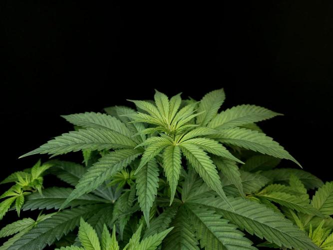 Test 101100  (1). Week 5