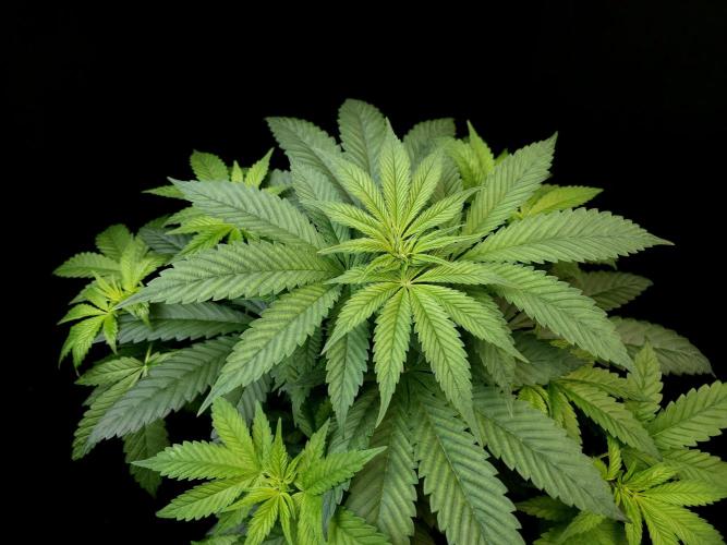 Test 101100  (1). Week 5