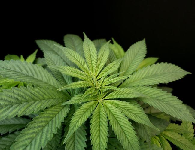 Test 101100  (1). Week 5