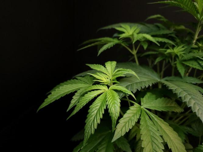 Test 101100  (1). Week 5