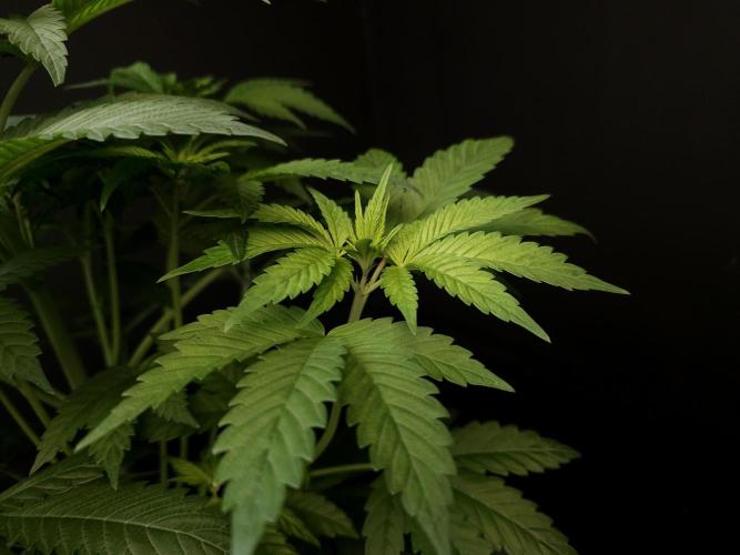 Test 101100  (1). Week 5