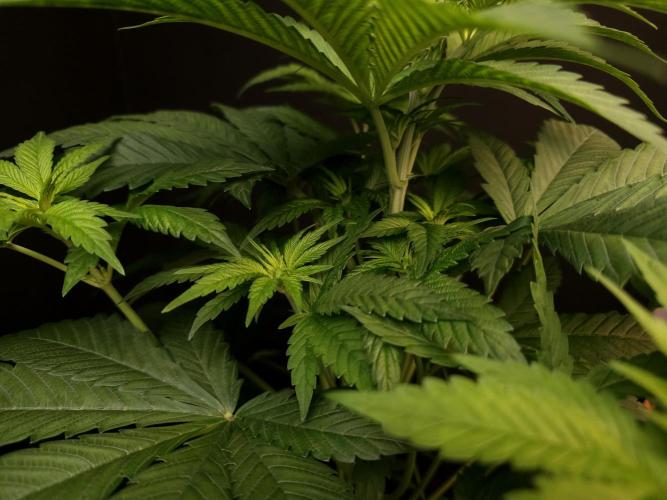 Test 101100  (1). Week 5