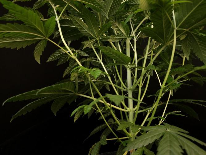 Test 101100  (1). Week 5