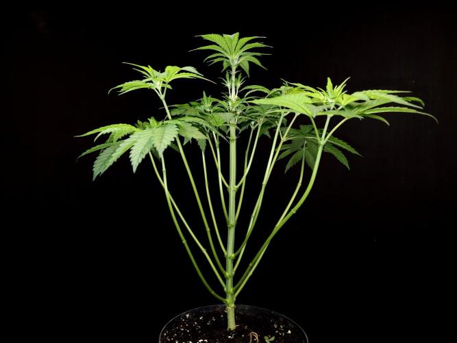 Test 101100  (1). Week 5