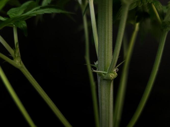 Test 101100  (1). Week 5