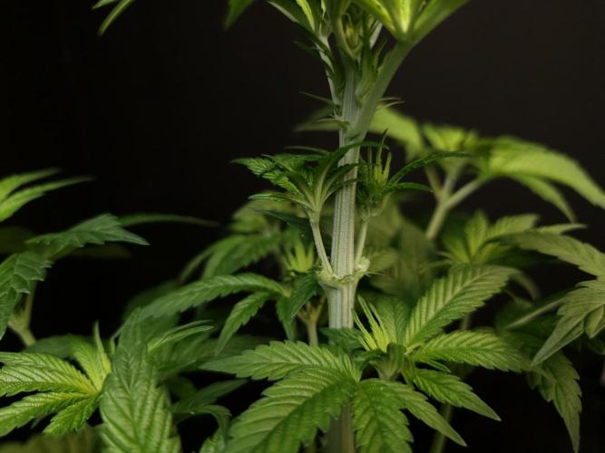 Test 101100  (1). Week 5