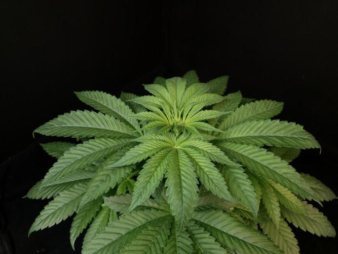 Test 101100  (2). Week 5