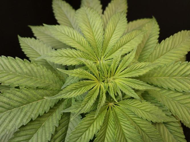 Test 101100  (2). Week 5