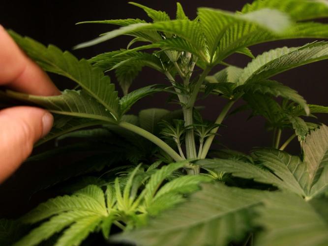 Test 101100  (2). Week 5