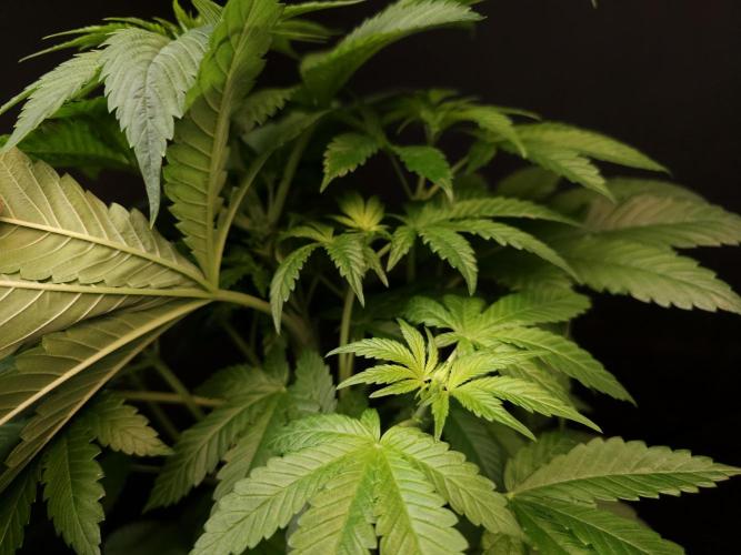 Test 101100  (2). Week 5