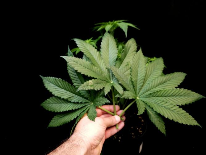 Test 101100  (2). Week 5