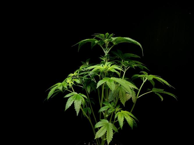 Test 101100  (2). Week 5