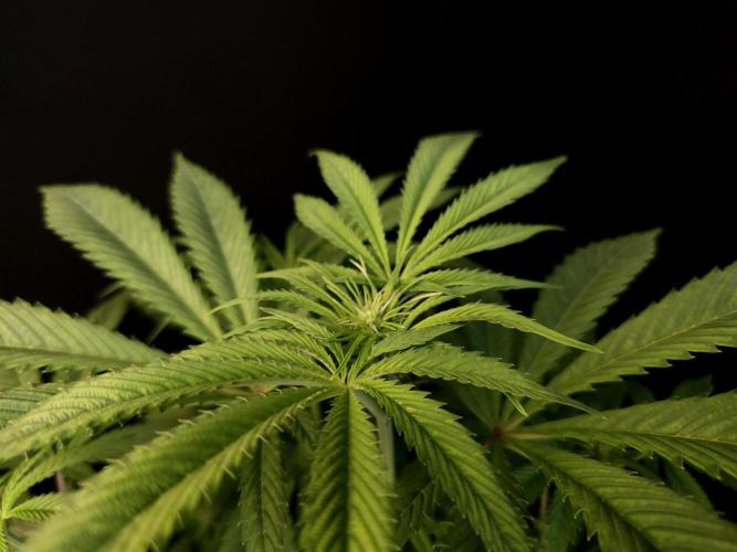 Test 50151  (1). Week 6