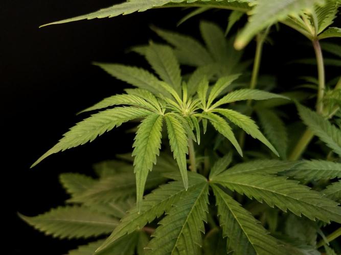 Test 50151  (1). Week 6