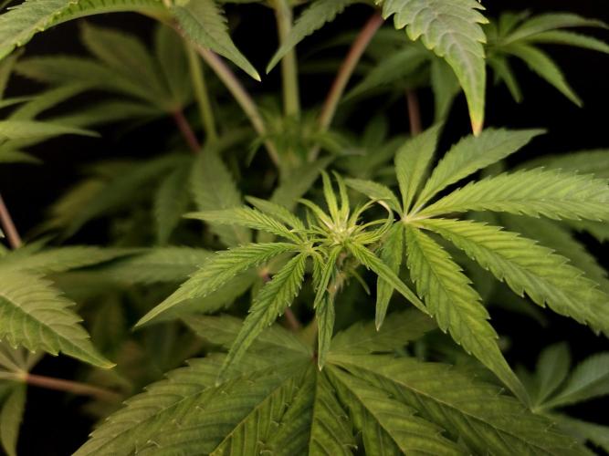 Test 50151  (1). Week 6