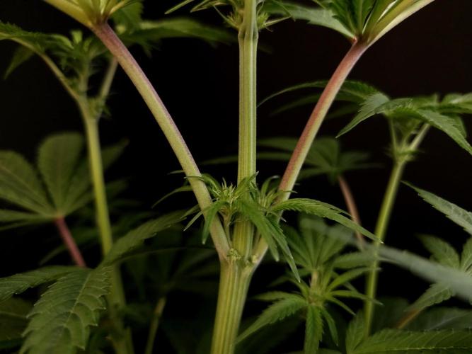 Test 50151  (1). Week 6