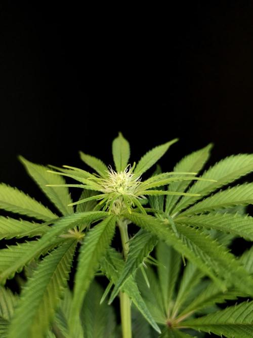 Test 50151 (2). Week 6