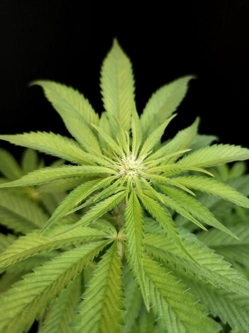 Test 101100  (1). Week 6