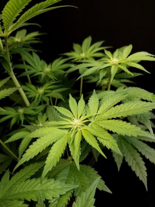 Test 101100  (1). Week 6