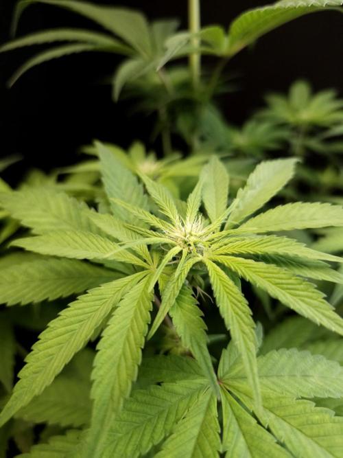 Test 101100  (1). Week 6