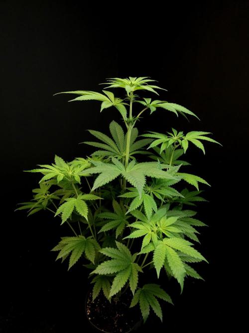 Test 101100  (2). Week 6