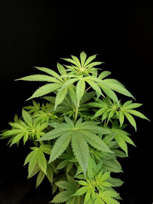 Test 101100  (2). Week 6