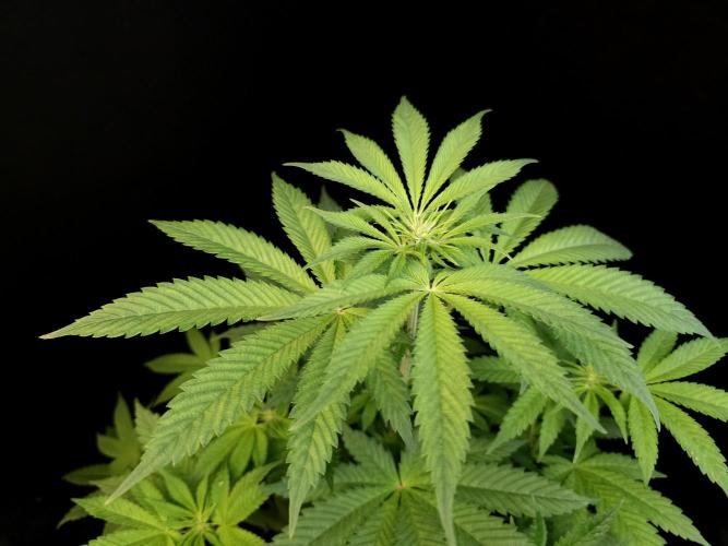 Test 101100  (2). Week 6