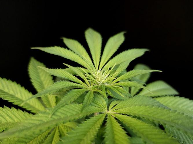 Test 101100  (2). Week 6