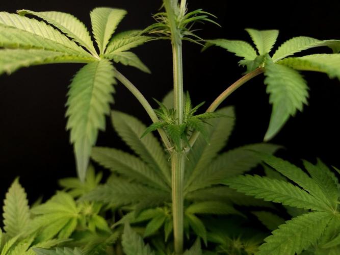 Test 101100  (2). Week 6