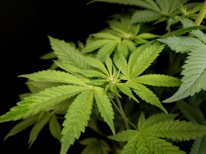 Test 101100  (2). Week 6