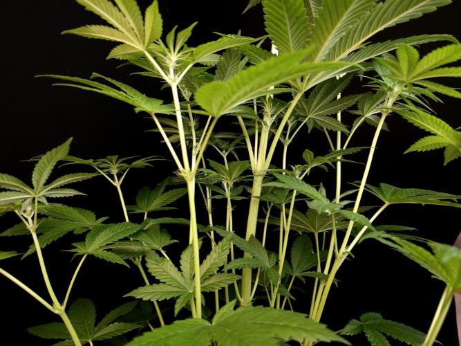 Test 101100  (2). Week 6