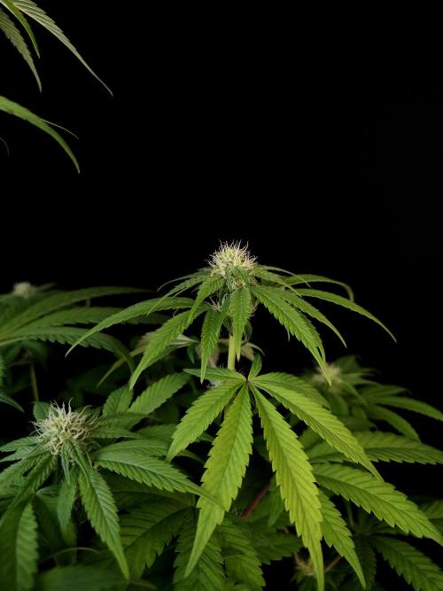 Test 101100  (1). Week 7