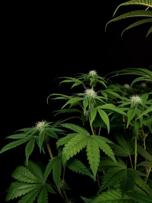 Test 101100  (1). Week 7