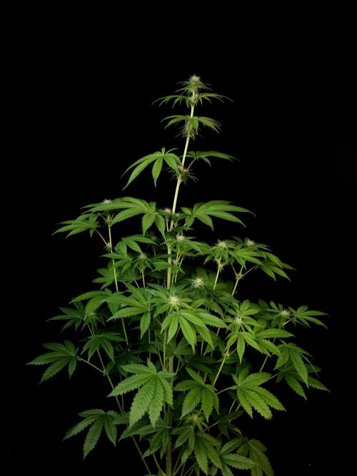 Test 101100  (2). Week 7