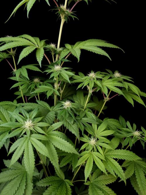 Test 101100  (2). Week 7