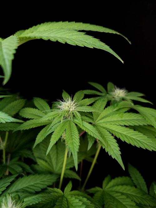 Test 101100  (2). Week 7